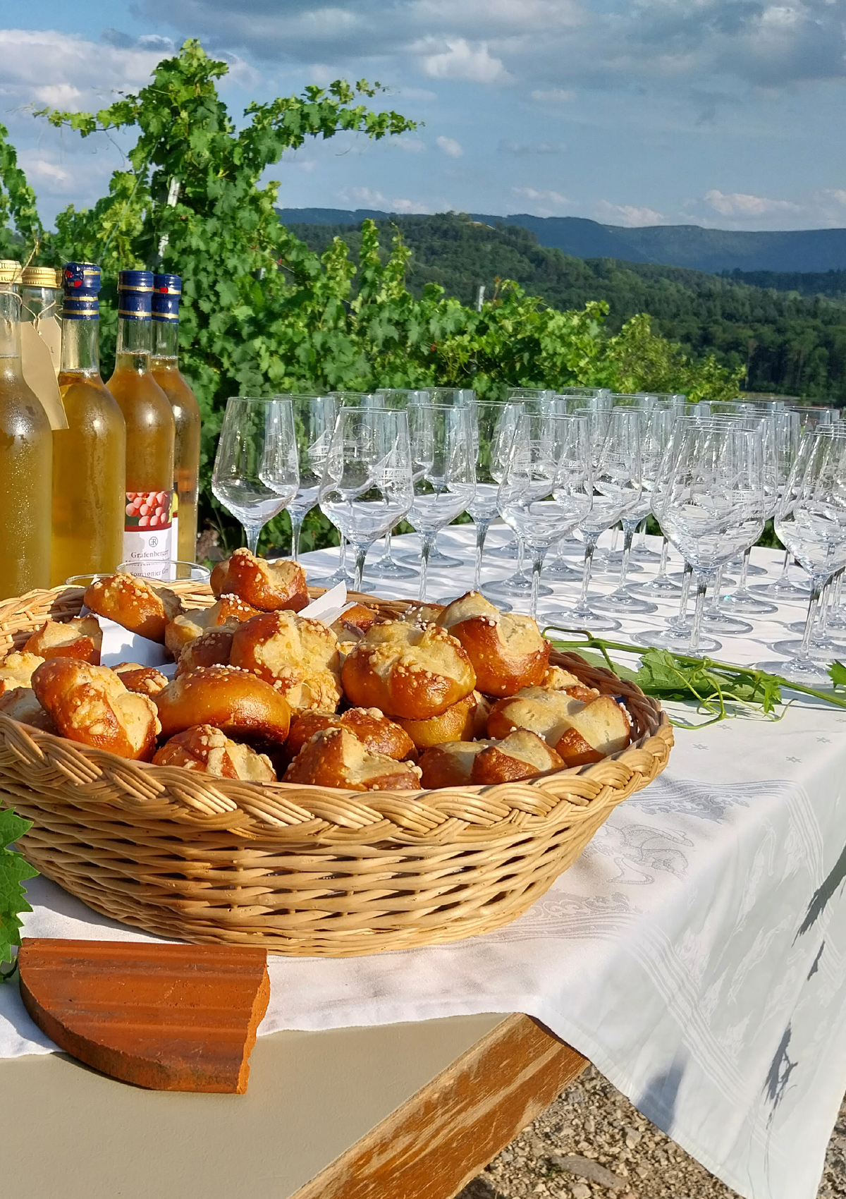 Weinbergspaziergang mit Weinprobe