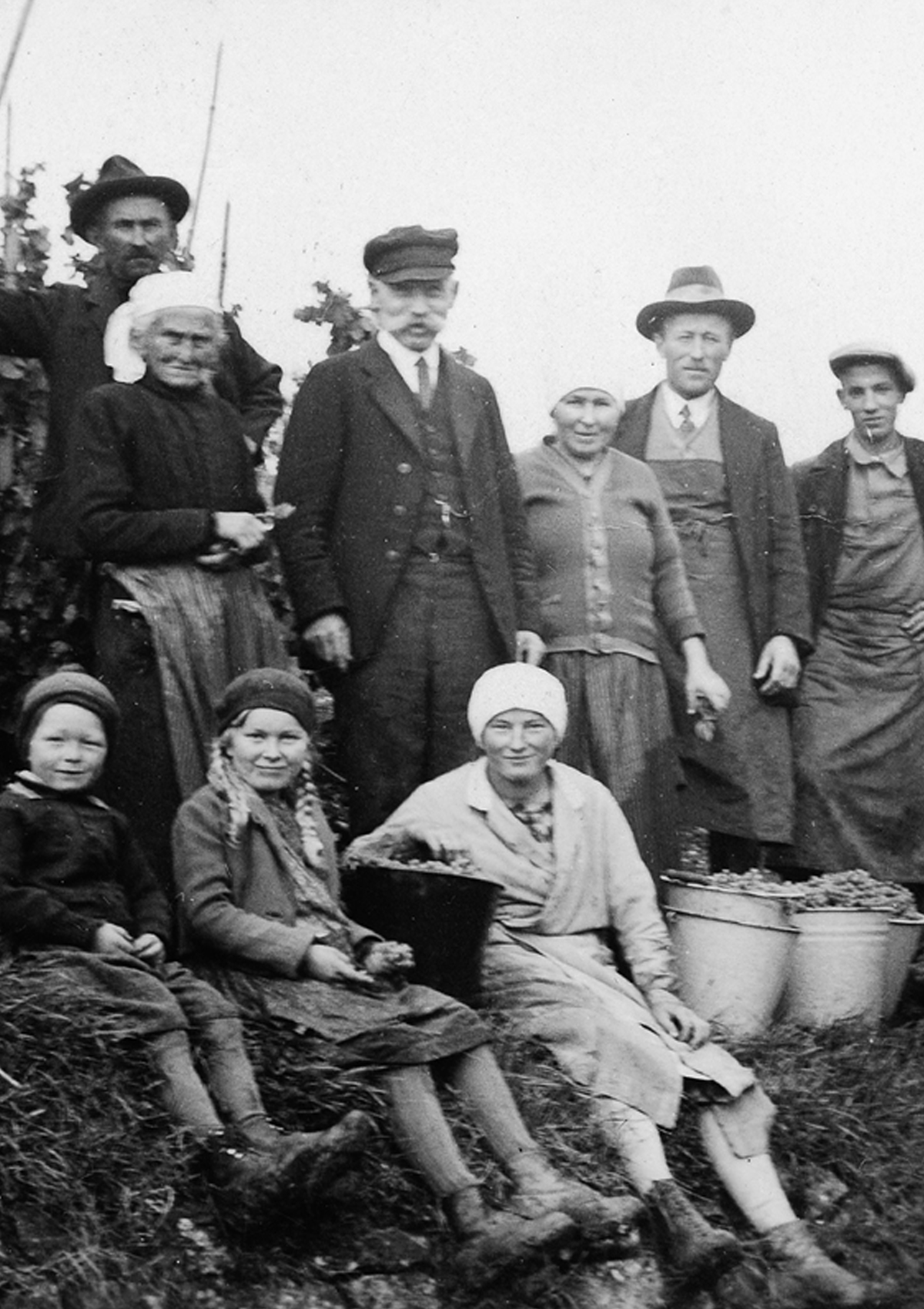 Geschichte des Weinbaus in Grafenberg und dem Ermstal