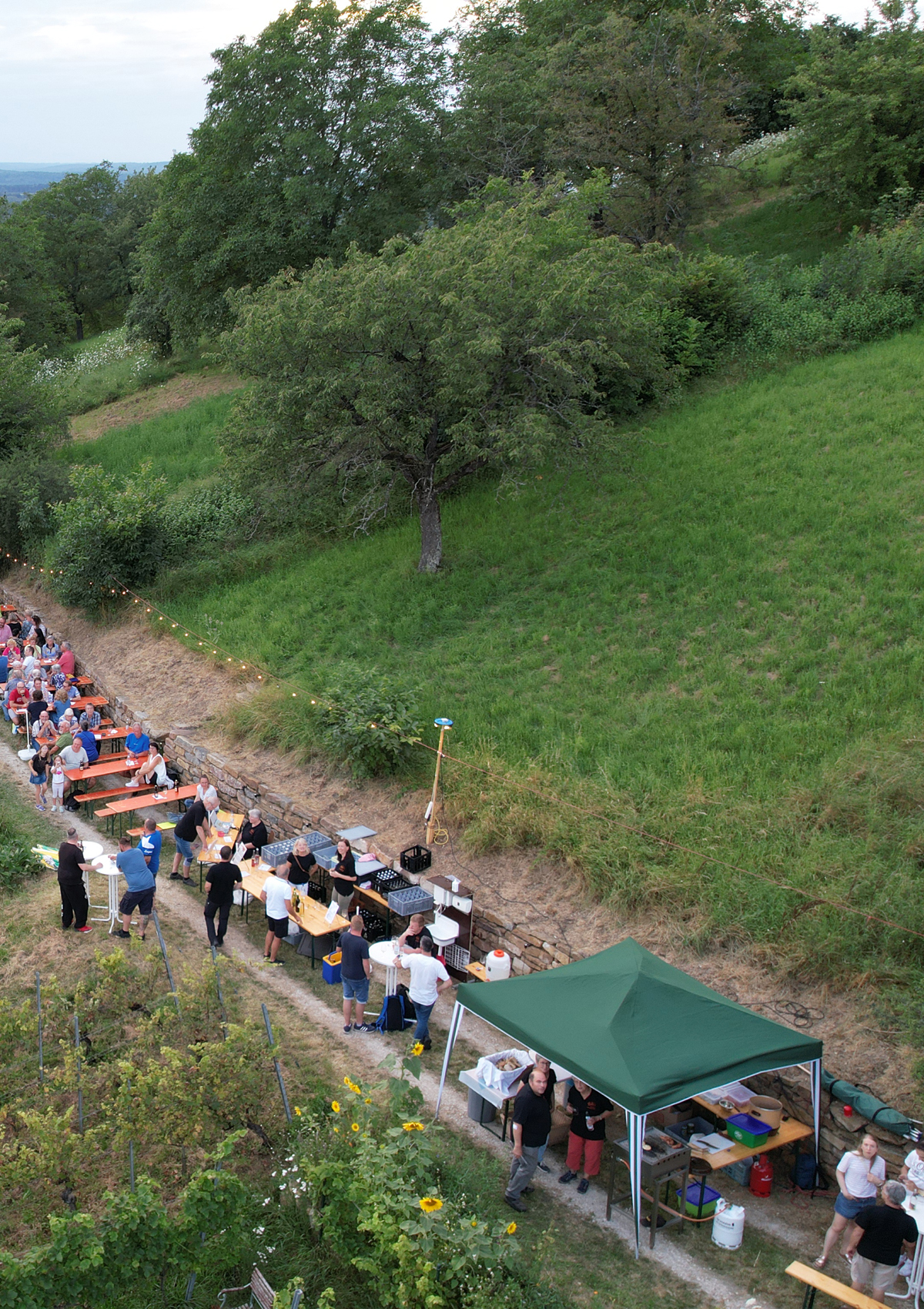 Mäuerlesfest - Weinausschank am Grafenberg